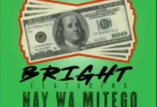Bright ft Nay Wa Mitego – Salio