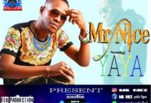 Mr Nice – Yaya
