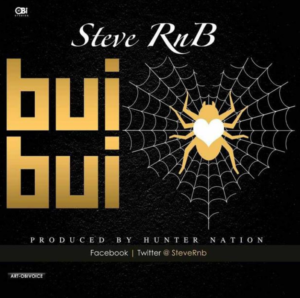 Steve RNB – BuiBui