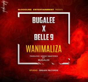 Bugalee ft Belle 9 – Wanimaliza