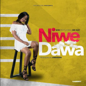 Nini ft Nay Wa Mitego – Niwe Dawa