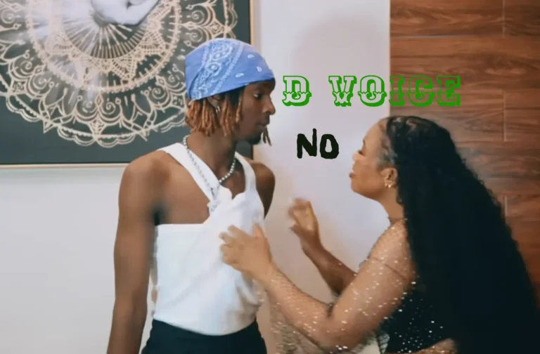 D Voice – No (Official Visualiser)