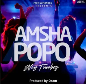 Nay Wa Mitego (Mr Nay) – Amsha Popo
