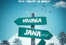 Vax tz ft Chino Kidd & Mr. Nobody Tz – Mwaka Jana (Remix)