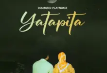 Diamond Platnumz – Yatapita