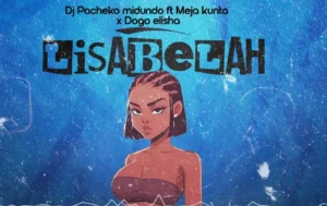 Dj Pacheko ft Meja kunta &Dogo Elisha – Lisa Bela