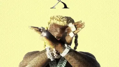 Harmonize – X