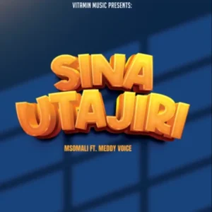 Msomali  ft Meddy Voice – Sina Utajiri