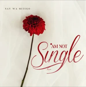 Nay Wa Mitego – Am Not Single