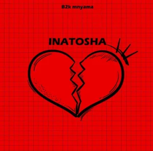 B2k Mnyama – Inatosha