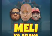 Dulla Makabila ft Ndaro X Mack Zube – Meli Ya Abaya