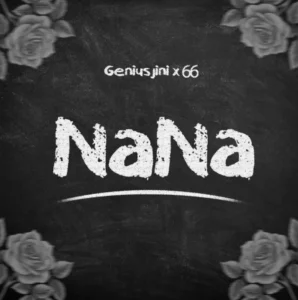 Genius Jini X66 – Nana 