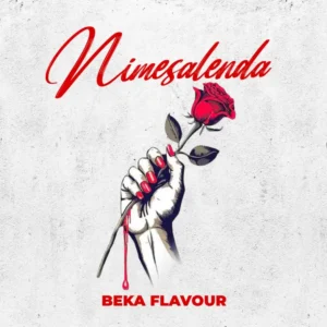 Beka Flavour – Nimesalenda