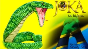 Chief Son – Joka la kijani