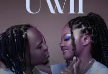 Geniusjini X66 – Uwii