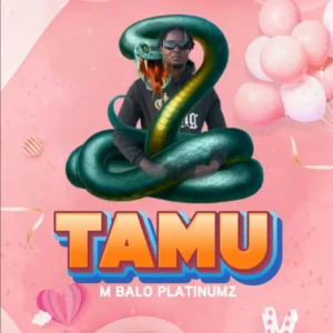 M Balo Platnumz – Tamu