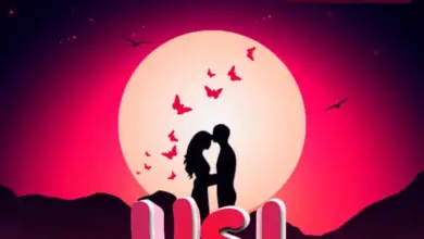 Udede – Usiniache