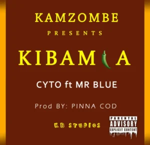 Cyto ft Mr Blue – Kibamia