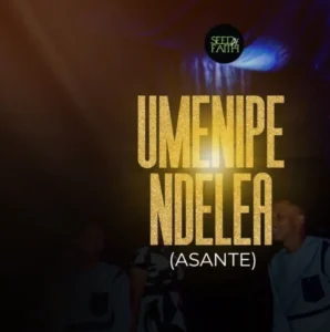 Henrick Mruma – Umenipendelea (Asante)