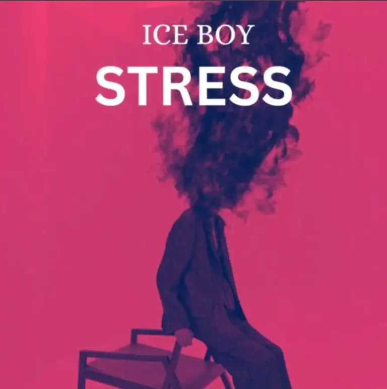 Audio | Ice Boy – Stress | Download Mp3