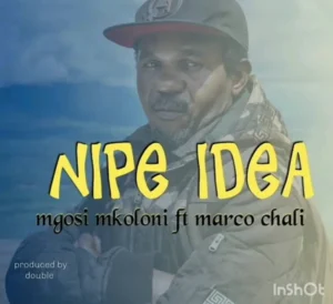 Mgosi Mkoloni (Wagosi Wakaya) ft Marco Chali – Nipe Idea