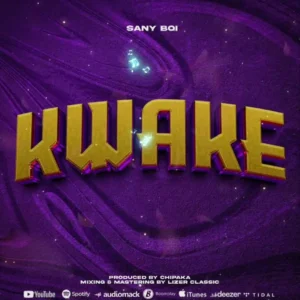 Sani Boy – Kwake
