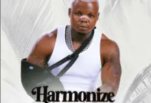 Silver Madollar – Harmonize Unanisikia