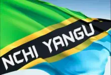 Tanzania Artists – Nchi Yangu