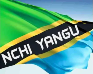 Tanzania Artists – Nchi Yangu