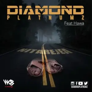 Diamond Platnumz ft Hawa – Nitarejea