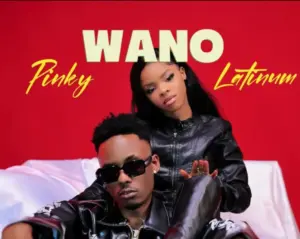 Latinum ft Pinky – Wano