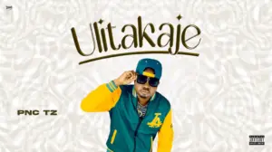 Pnc – Ulitakaje