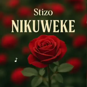 Stizo – Nikuweke