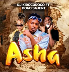 Dj Kidogodogo ft Dogo Sajent – Asha