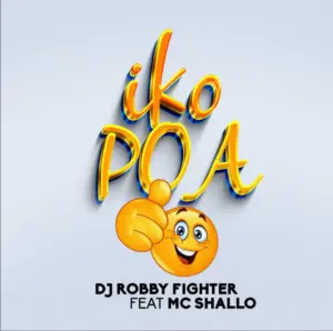 Dj Robby Fighter ft MC Shallo – Iko Poa