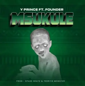 Founder Tz ft Y Prince – Msukule