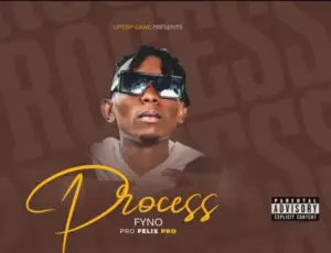 Fyno Ug – Process