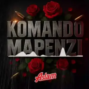 Aslam Tz – Komando Mapenzi