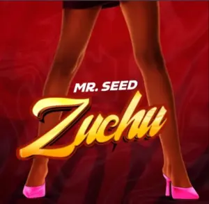 Mr Seed – Zuchu