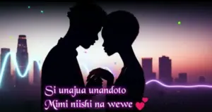 Msomali ft Meddy Voice – Si Unajua