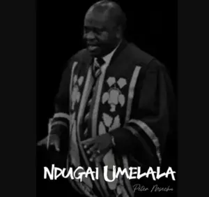 Peter Msechu – Ndugai Umelala