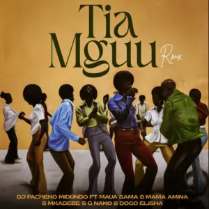 Dj Pacheko Midundo ft Mama Amina & Maua Sama & G nako & Dogo Elisha & Mkadebe – Tia Mguu remix