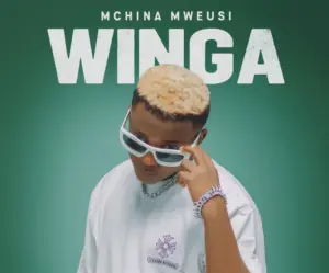 Mchina Mweusi – Winga