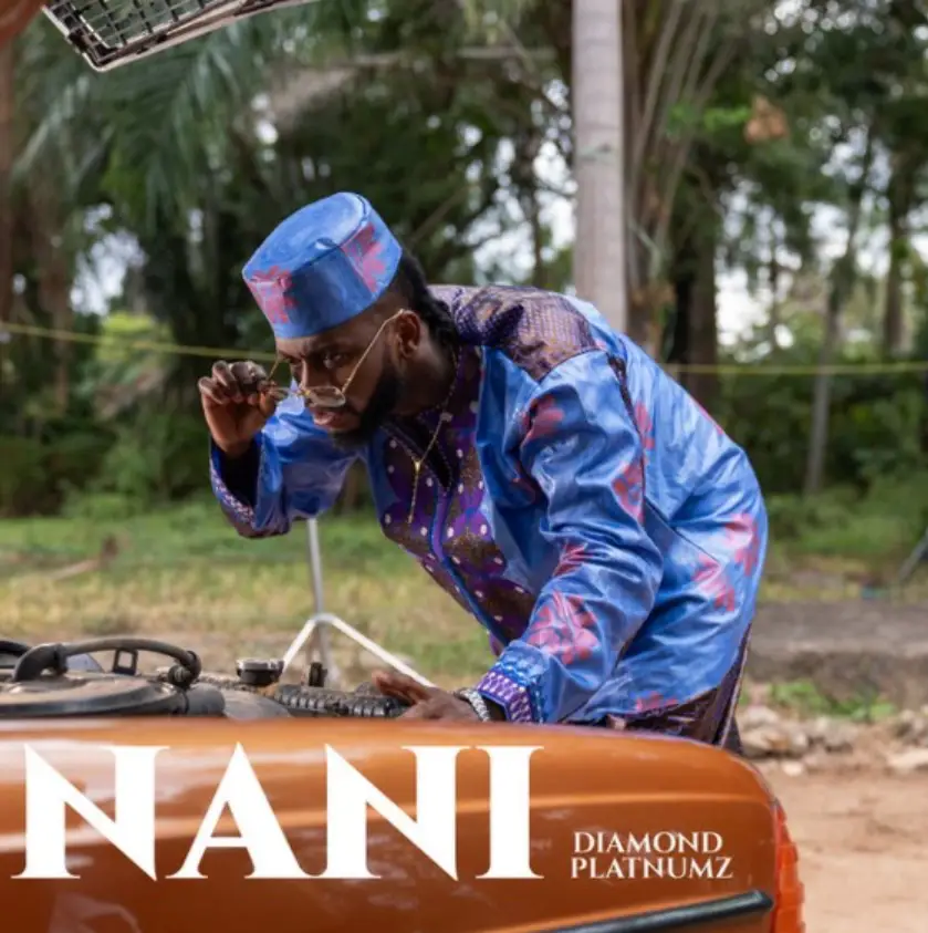 Diamond Platnumz – Nani