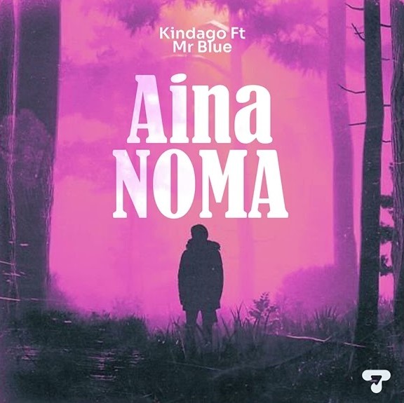 Music Audio : Kindago Ft Mr Blue – Aina Noma | Download