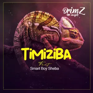 Drimz Ft Smart Boy Sheba – Timiziba