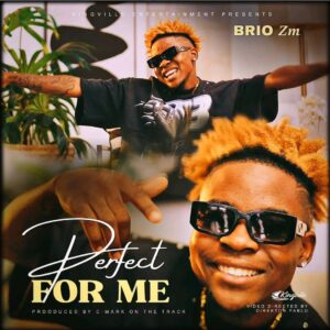 Brio Zm – Perfect For Me