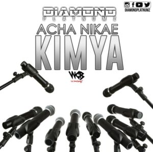 Diamond Platnumz – Acha Nikae Kimya