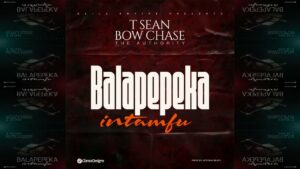T-Sean Ft Bow Chase – Intamfu