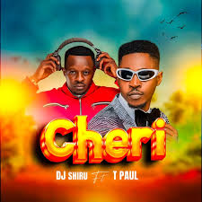 T Paul Ft DJ Shiru – Cheri